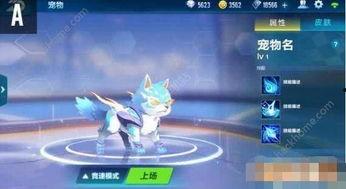 QQ飞车最新宠物爆料,神秘力量觉醒,速度与激情再升级!